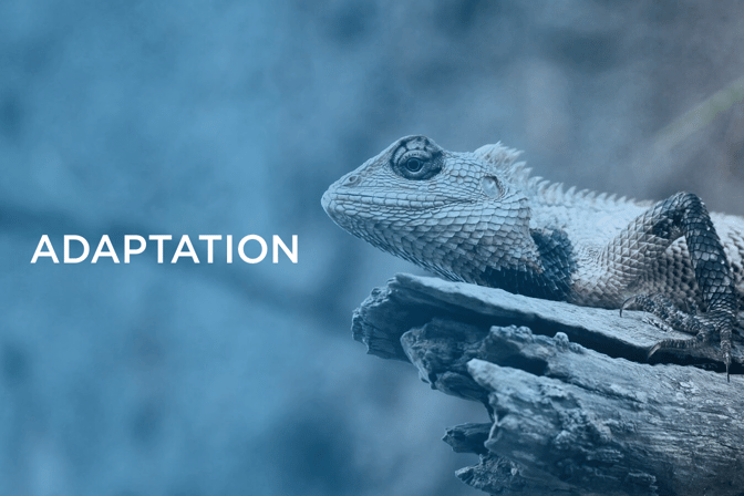 adaptation to new technology Valuer