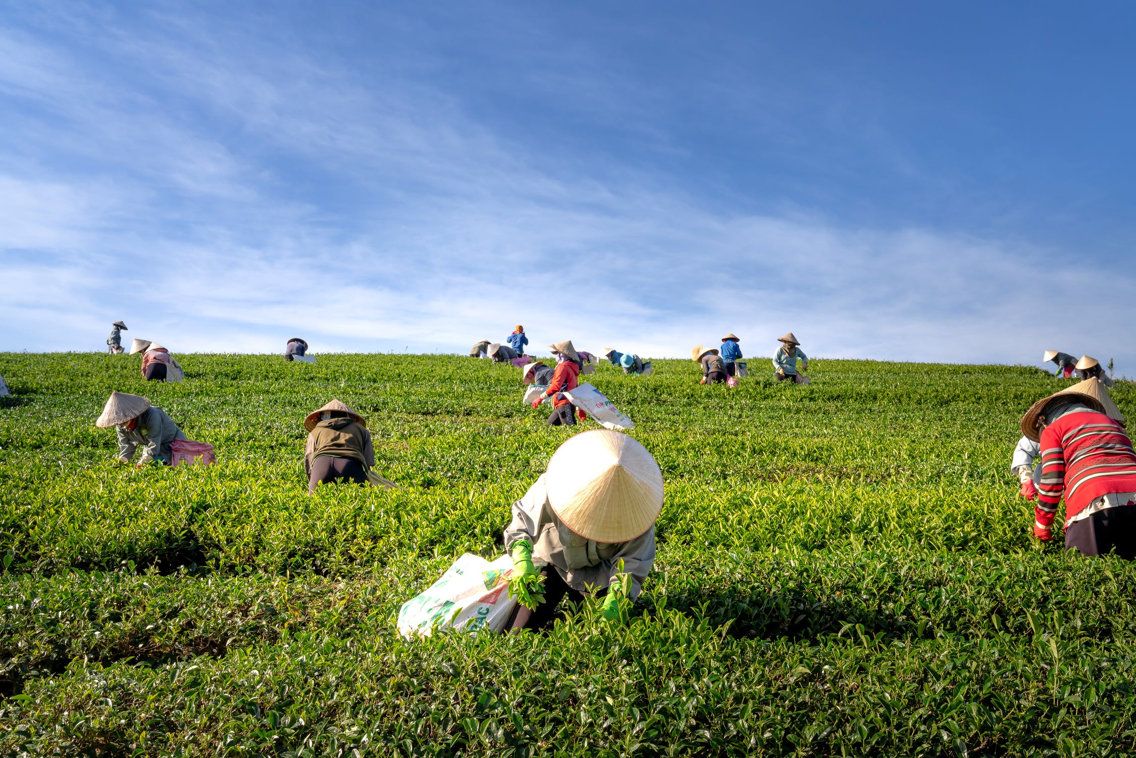 Agriculture innovation