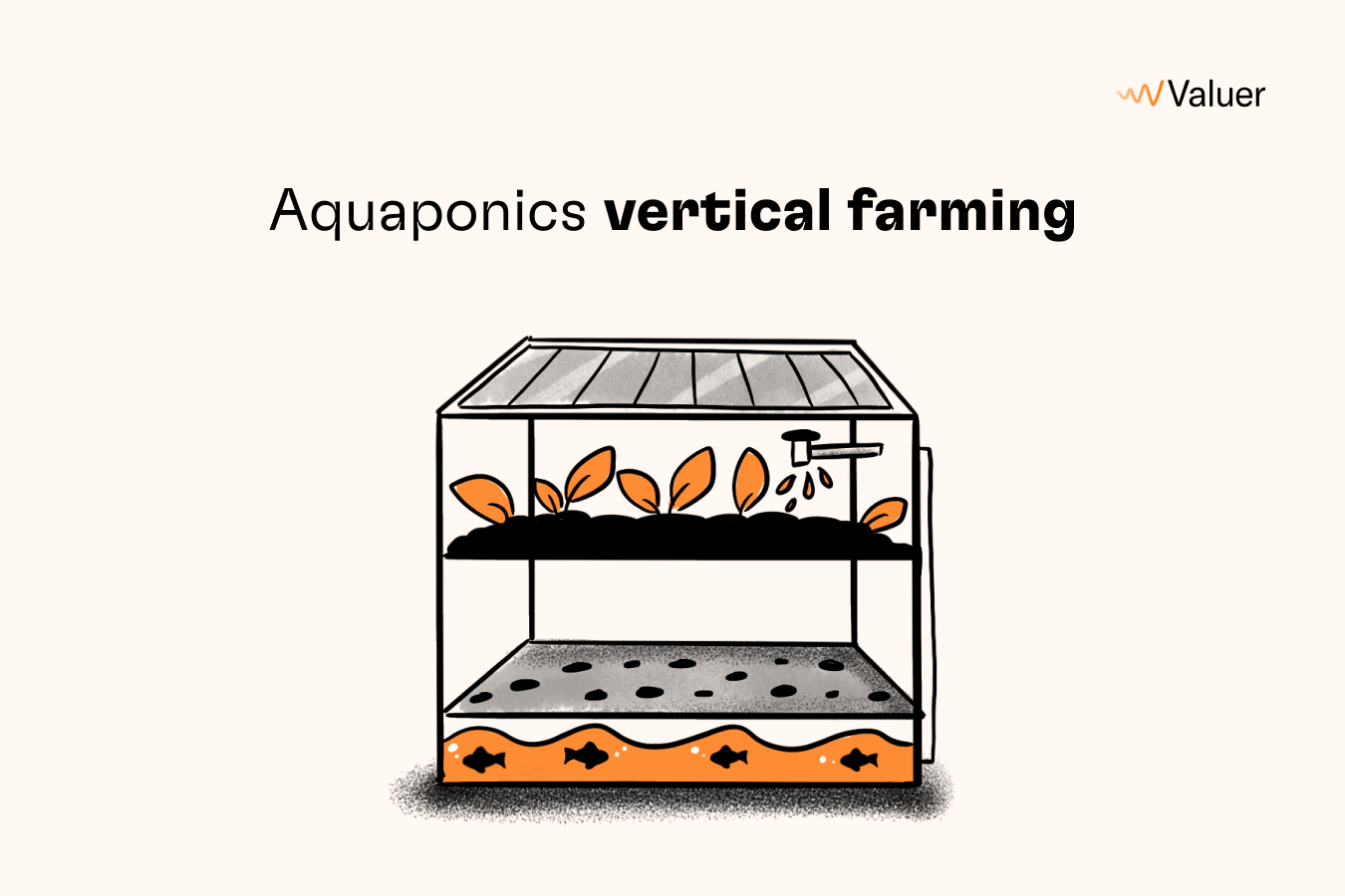 Aquaponics vertical farming