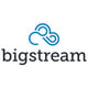 Bigstream Logo