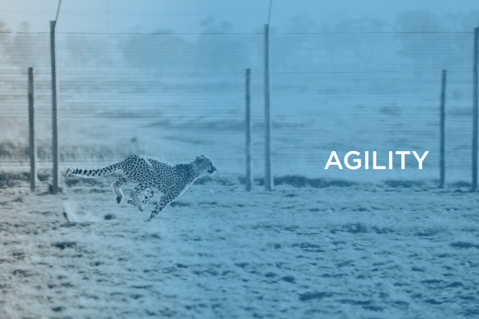 corporate agility Valuer