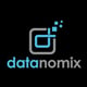 Datanomix logo
