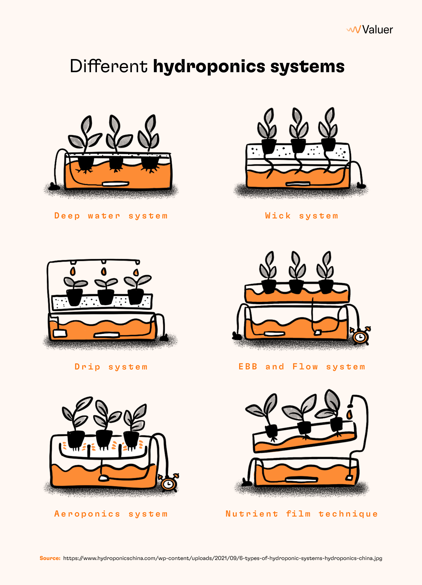 Different hydroponics systems