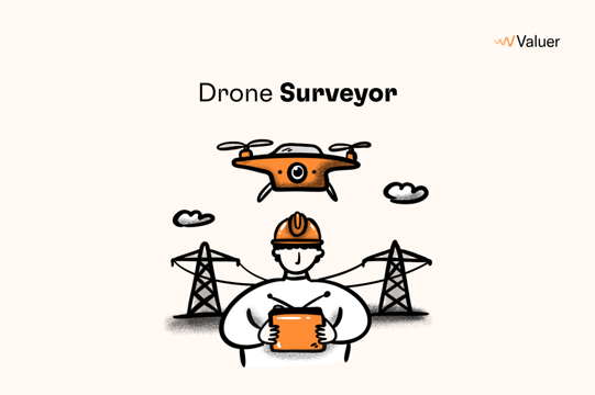 Drone Surveyor