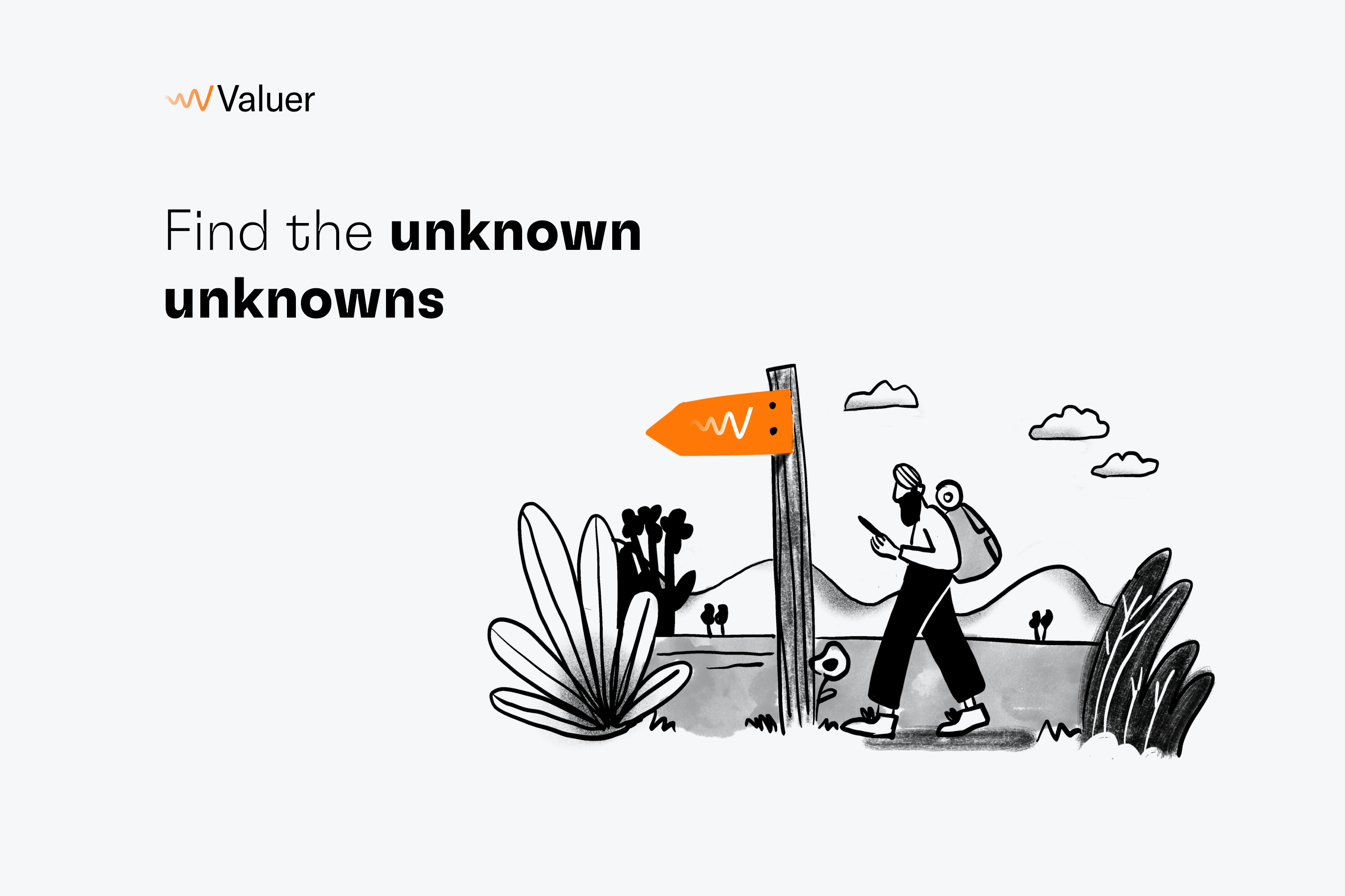 Find the unknown unknowns