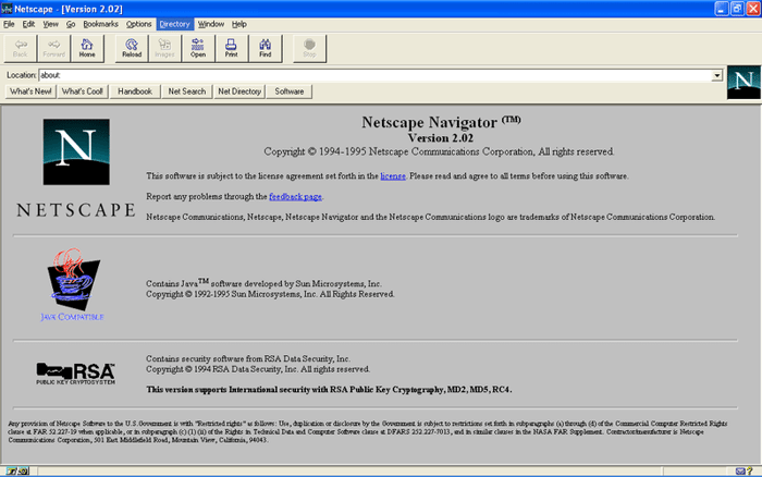 Netscape window