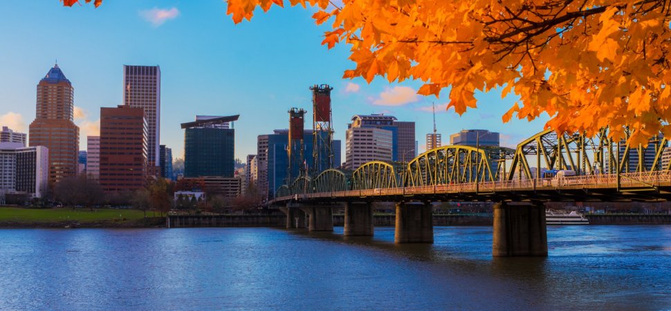 portland oregon orange leaves industrial bridge skyscrapers river and sky green park