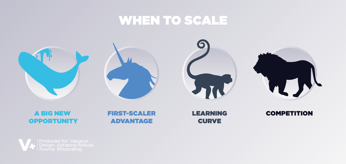 Graphic showing different stages of when to blitzscale