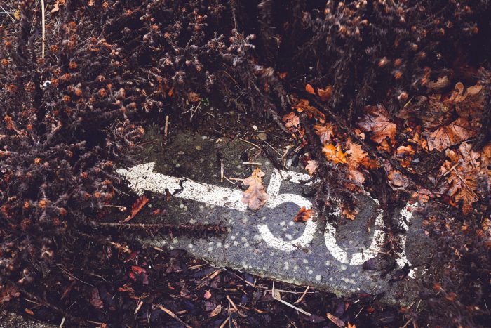 Unsplash photo