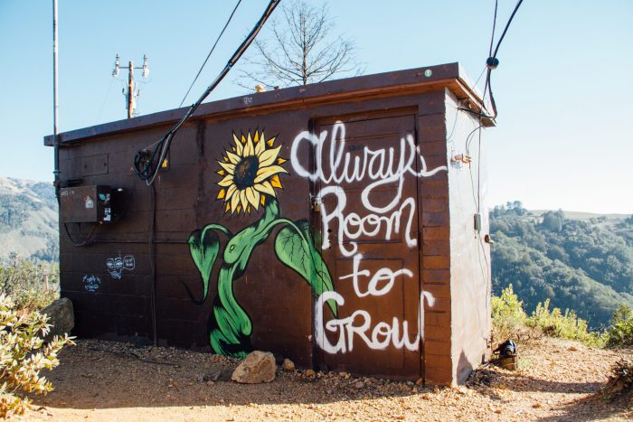 Always room to grow.
