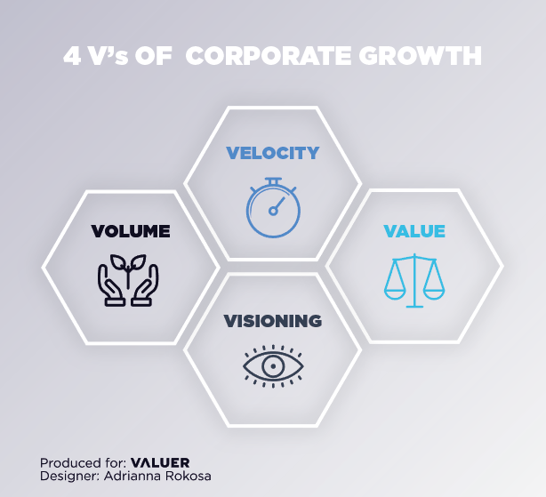 A graphic showing four hexagons showing the 4 V's of company growth