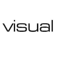 visual company logo