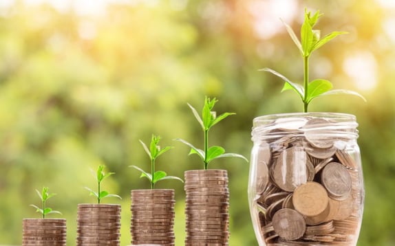 plant growing in coins