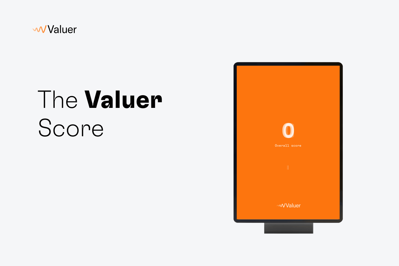 The Valuer Score