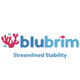 Blurbrim Logo