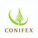 conifex