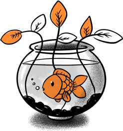 cute-fishy-aquaponics