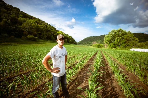 Farmer standing in the middle of a crop field