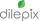 logo_dilepix_VEC_TM