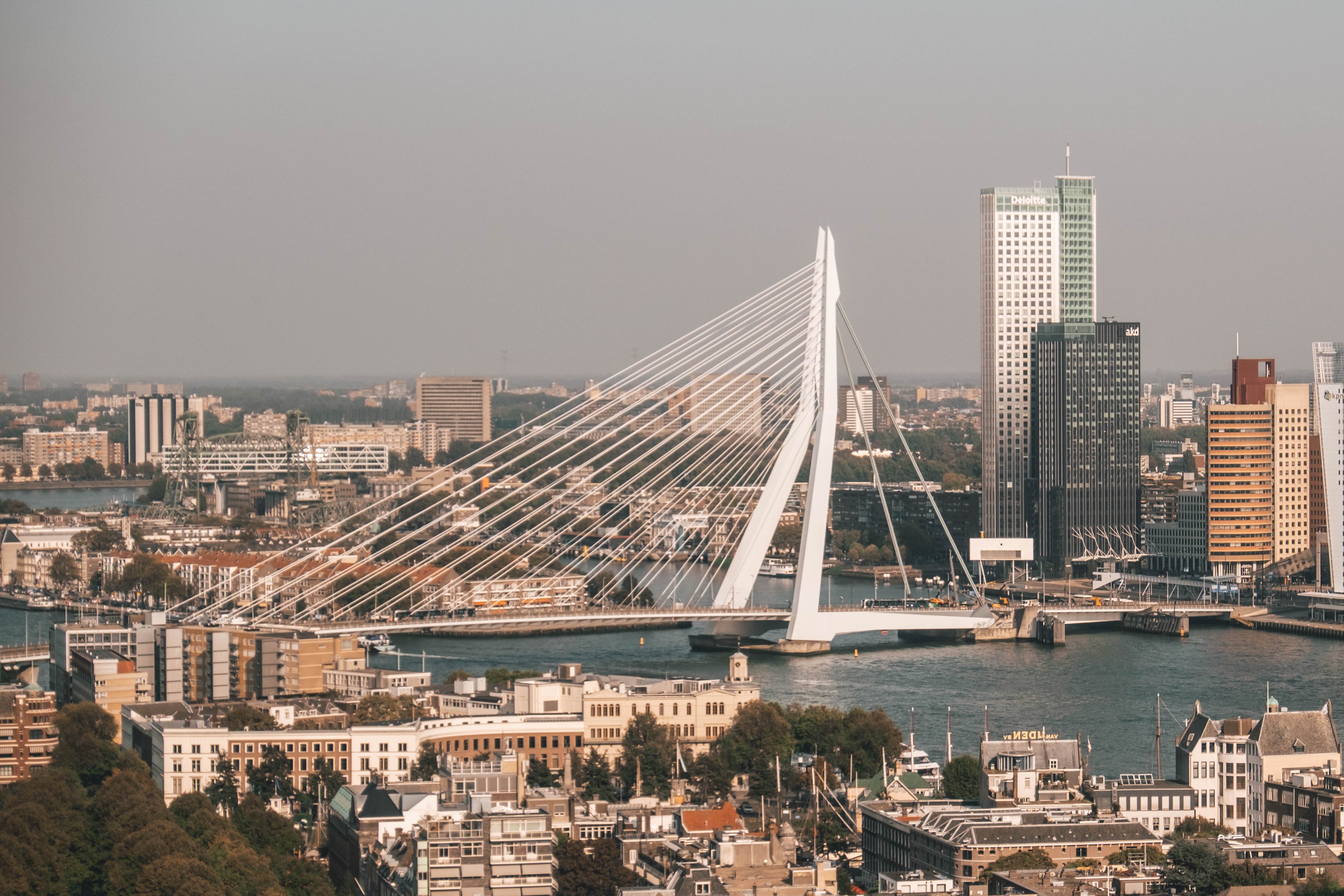 pexels-steshka-willems-5402027