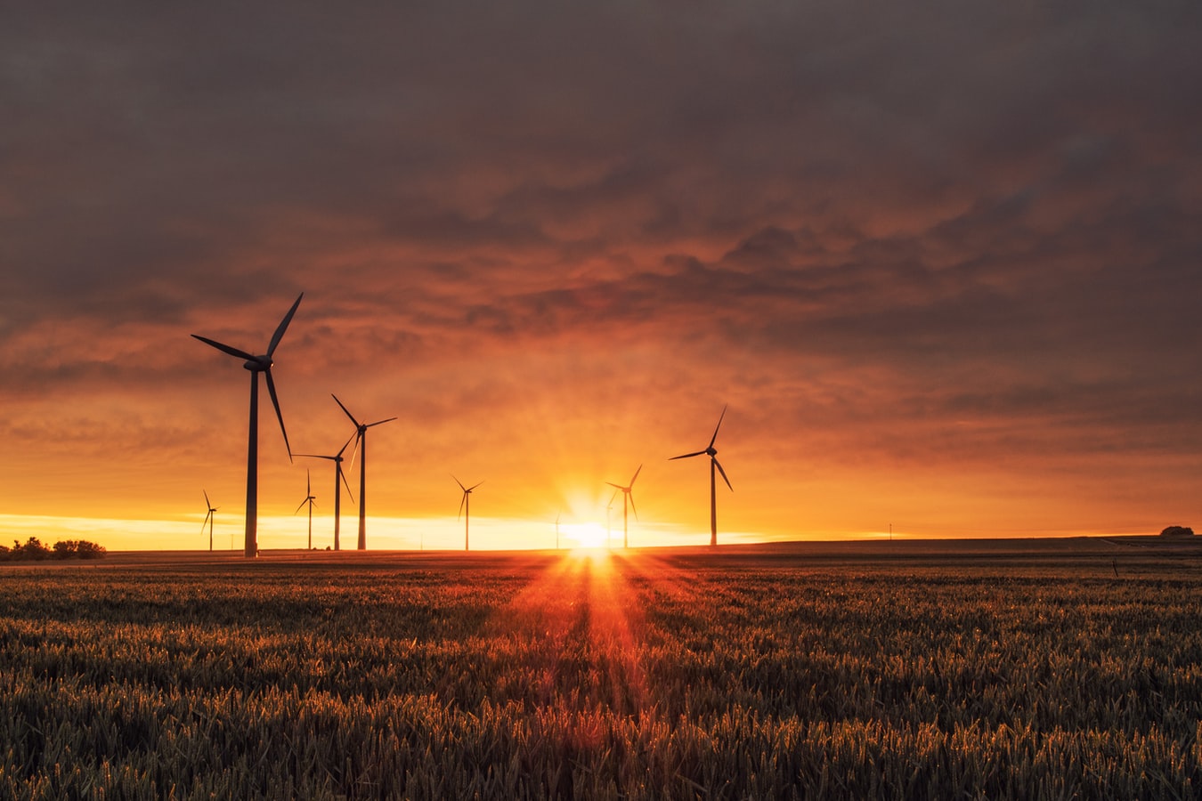 Windturbines in sunset