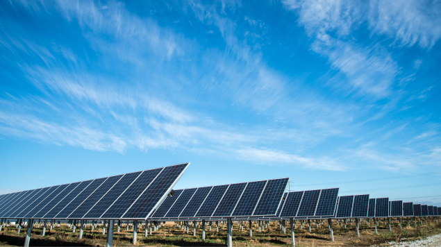 A solar farm