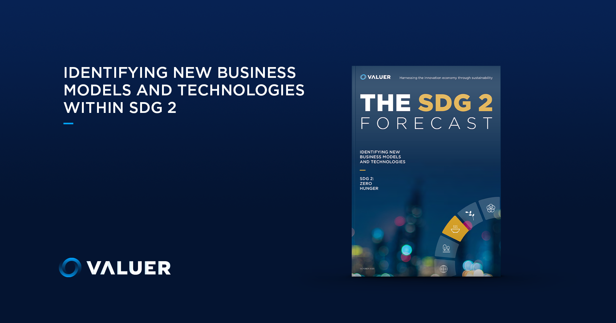 Identifying New Business Models and Technologies Within SDG 2