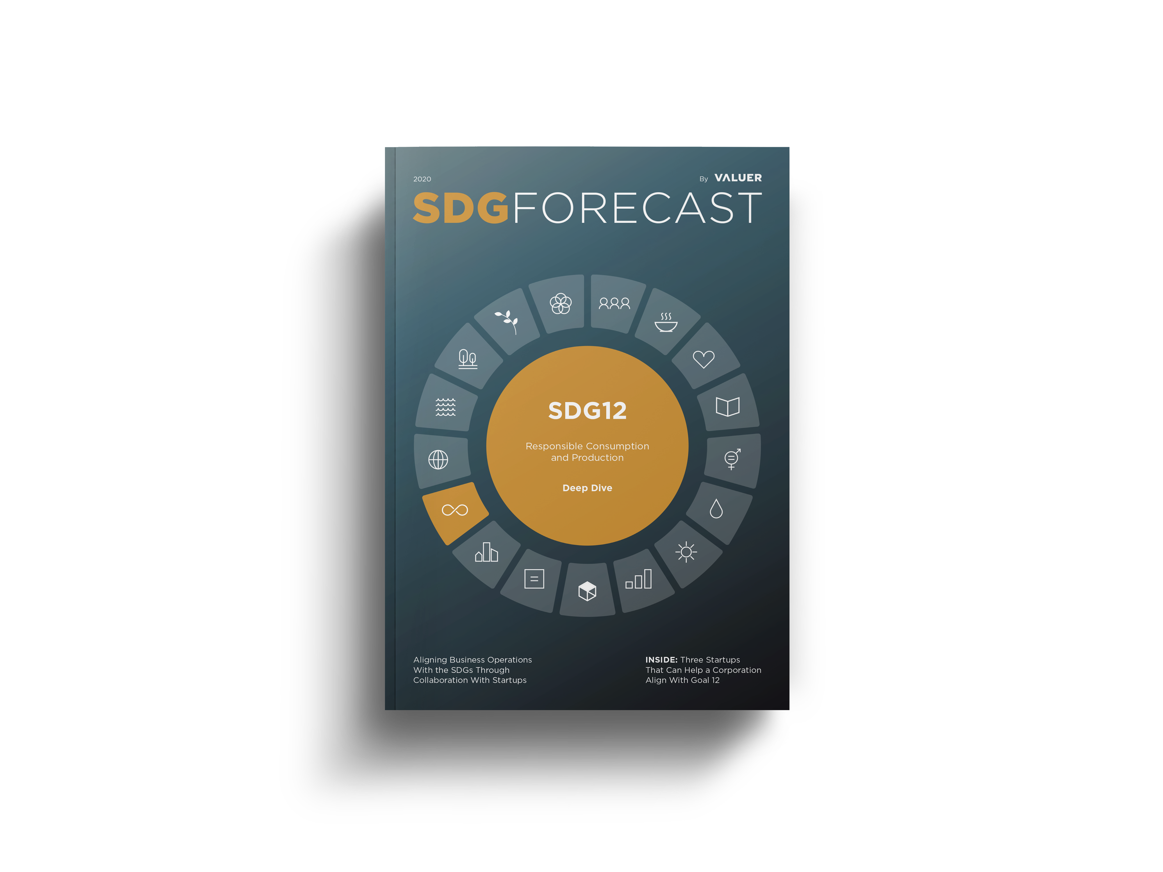 SDG12 COVER