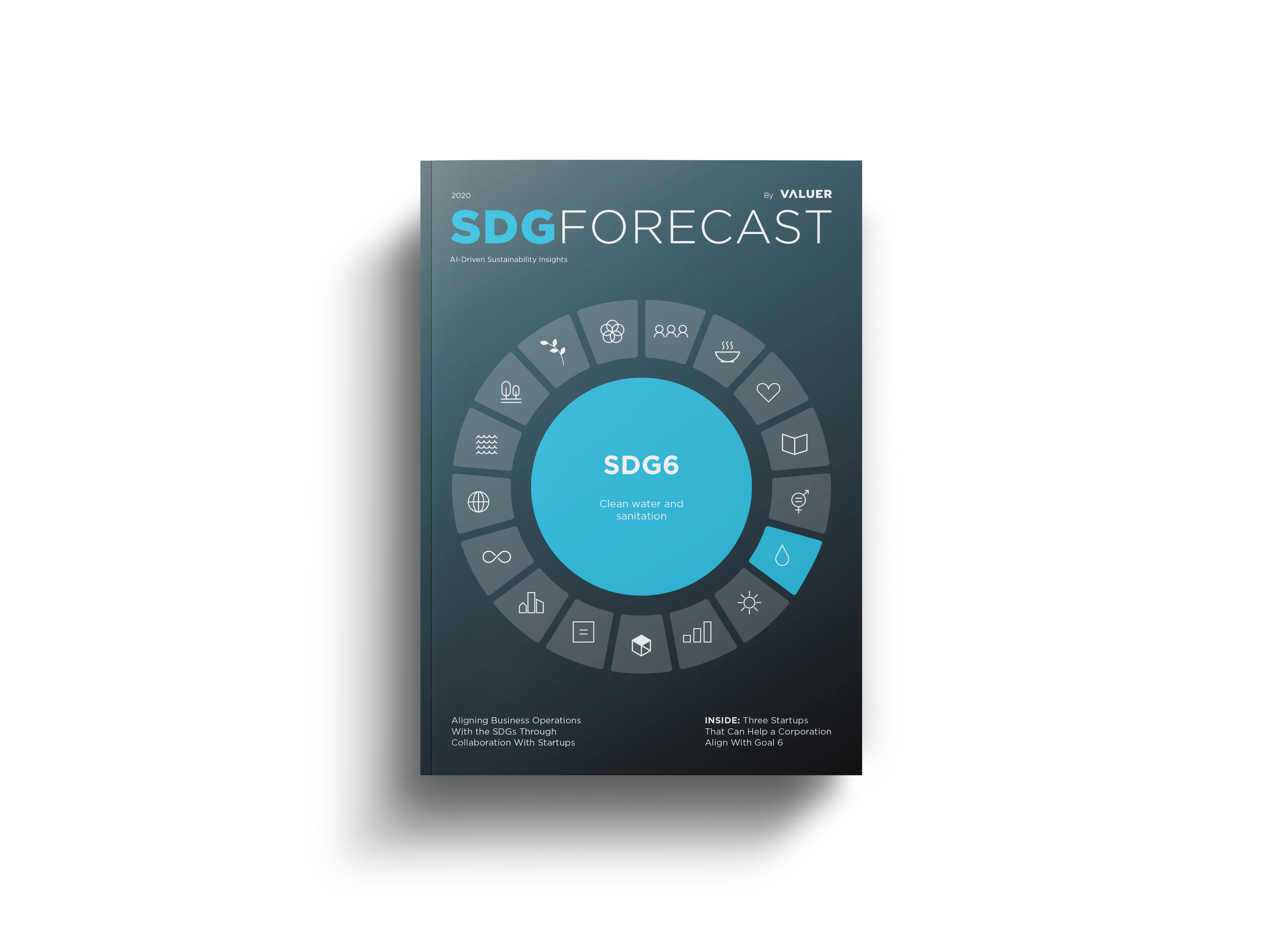 SDG6 COVER