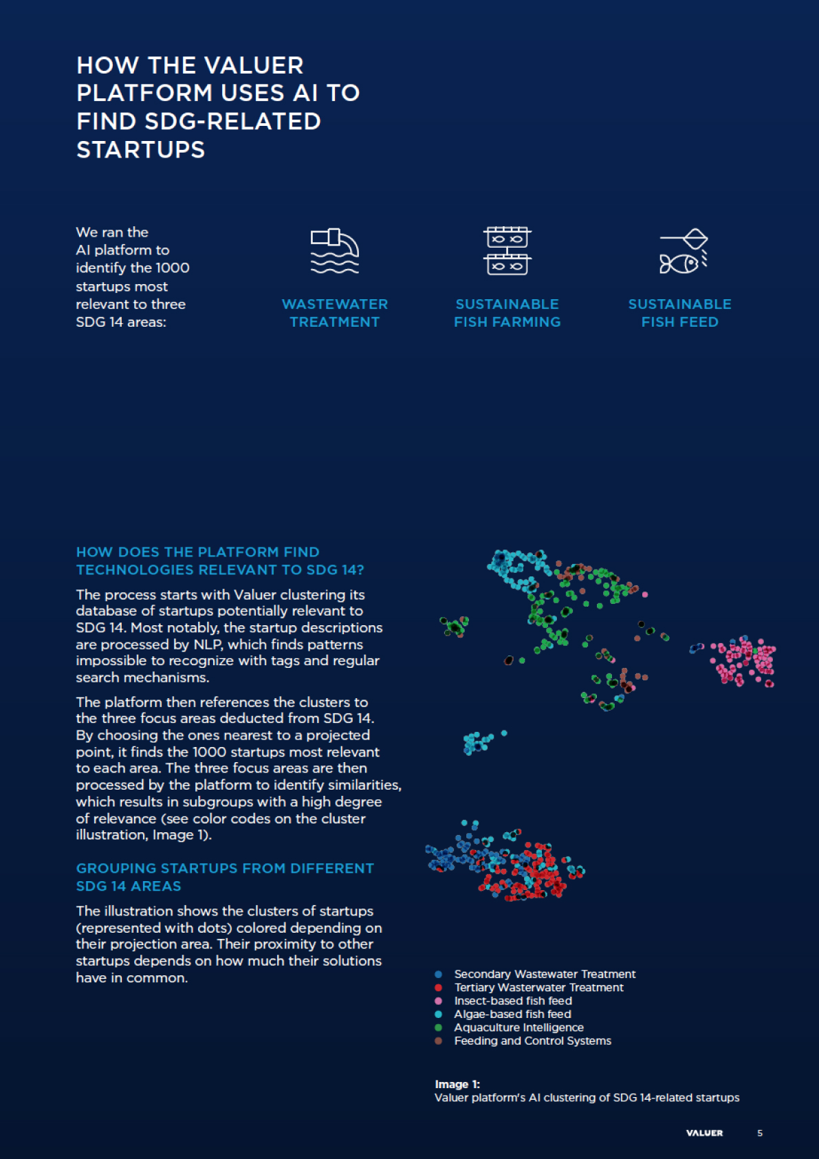 SDG 14 Spread 2