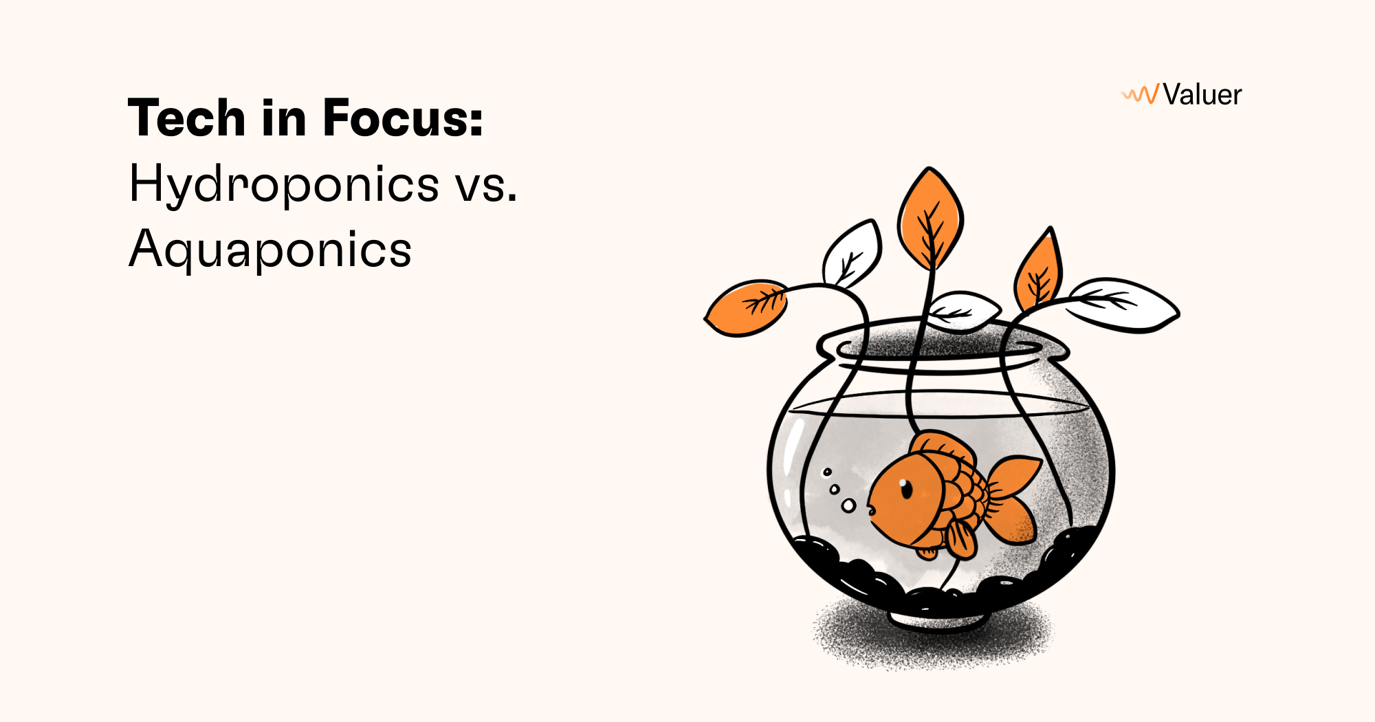 Tech in Focus: Hydroponics vs. Aquaponics