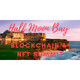 half moon bay blockchain and NFT summit